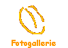 Fotogallerie